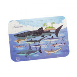 鯊魚圖鑑拼圖96片